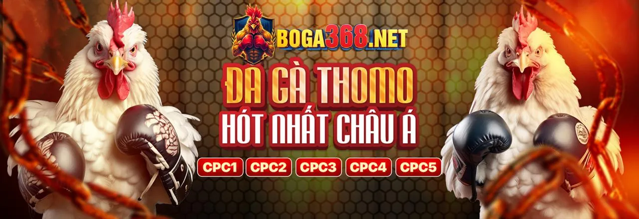 Bàn chơi casino trực tuyến với người chia bài thật tại VND288 hiện đang mở